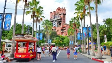 Guests walking around Disney's Hollywood Studios Park at Walt Disney World.